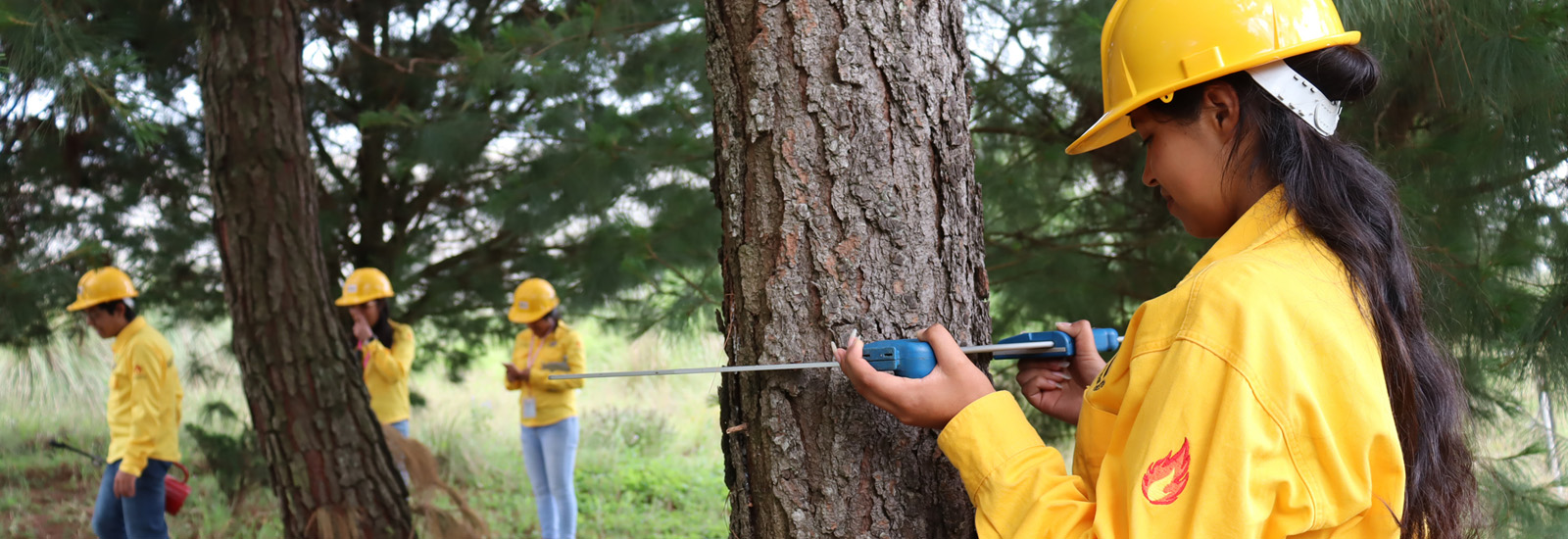 Ing. Forestal